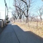 玉川上水の側道